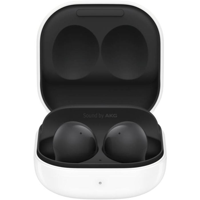Samsung Galaxy Buds2 SM-R177 Graphite